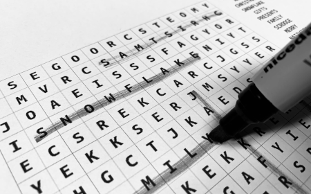 Wordsearch maker